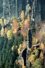 057_NC.webp