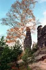 035_NC.webp