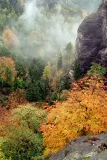 S.Schweiz4.webp