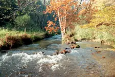 Wildes Kirnitzschtal.webp