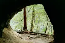 Höhle.webp