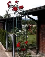 gabogen.webp