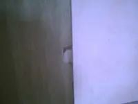 PIC00289.webp
