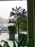 Bild013.webp