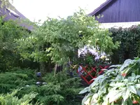 Vorgarten1.webp