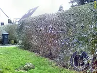 DC090209001.webp