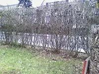 DC090209004.webp