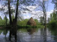 Spreewald 1.webp