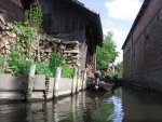 Spreewald 4.jpg