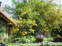 Spreewald 5.webp