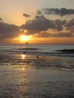 Holland 2008 138.webp