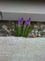Bild000.webp