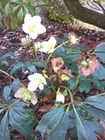 Bild025.webp
