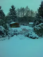Bild006.webp