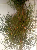 DSC00001.webp