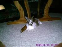 PIC00057.webp