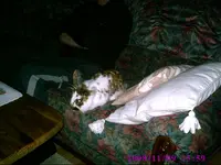 PIC00061.webp