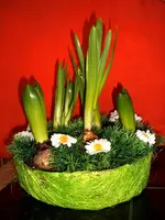 DSCF2319.webp