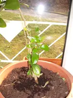Bild 002.webp