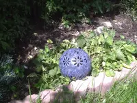 PIC00104.webp