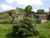 Garten04-2008 014.webp
