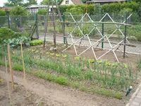 124115 109.webp