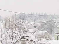 Haus14.02.2009 003.webp