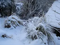 schnee14februar09019.webp