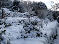 schnee14februar09023.webp