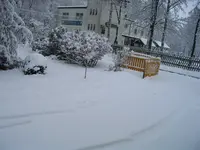 31.01.2009 017.webp