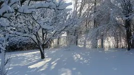 DSC00420.webp