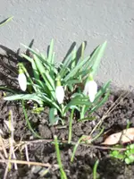 JD500144.webp