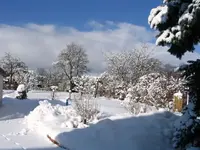 17.02.2009 005.webp