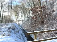 P1030768_600_450.webp