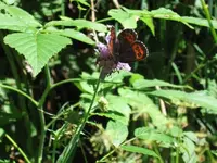 Bild 15.webp