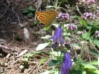 Bild 16.webp