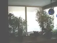 von drinnen  aus dem li Wohnzimmerfenster_klein.webp