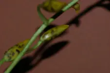 DSC07194.webp