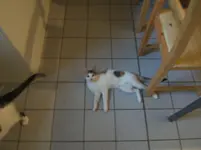 Abby.webp