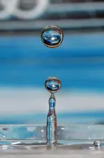 DSC05206.webp