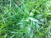Foto 20.09.11 13 08 49.webp