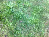 Foto 20.09.11 13 08 58.webp