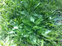Foto 20.09.11 13 08 28.webp