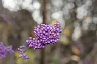 0550.webp