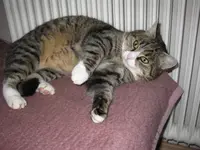Bild 029.webp
