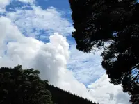Copy of IMG_8962 v.webp