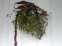 DSCN1247.webp