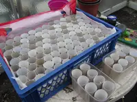 IMG_2114.webp IMG_2114.webp