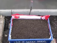 IMG_2122.webp IMG_2122.webp