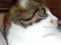 Mieze10-12-11-2805.webp